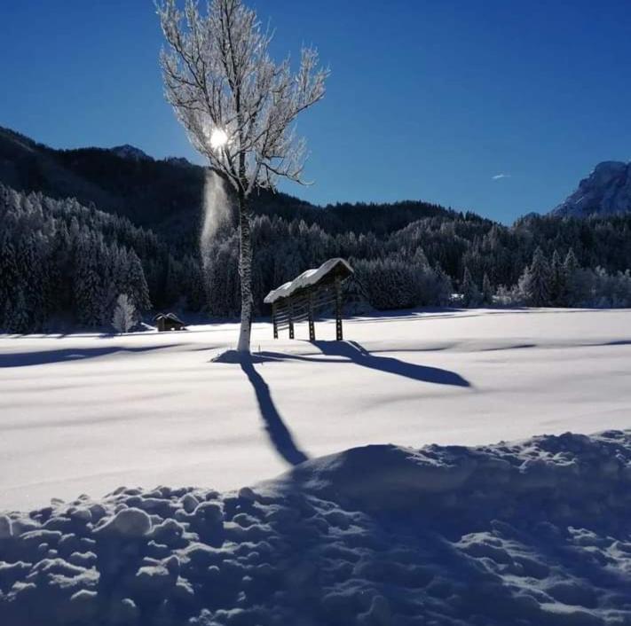 Apartments Podkoren 82 Kranjska Gora Εξωτερικό φωτογραφία