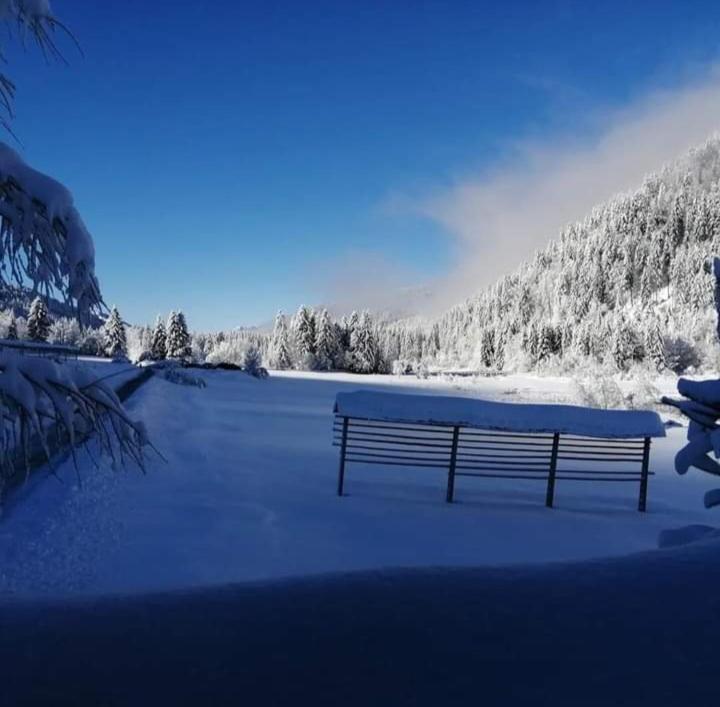 Apartments Podkoren 82 Kranjska Gora Εξωτερικό φωτογραφία
